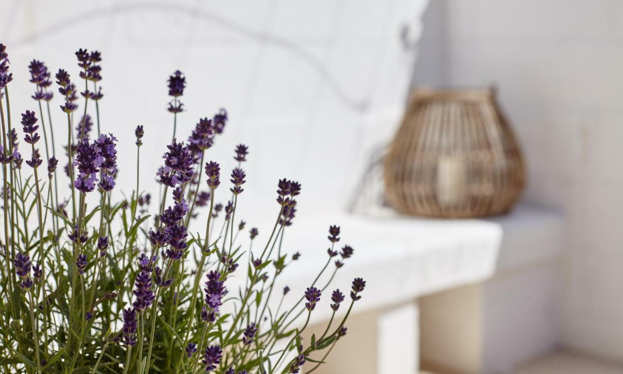 Agapanto Masseria Bed and Breakfast Κονβερσάνο Εξωτερικό φωτογραφία