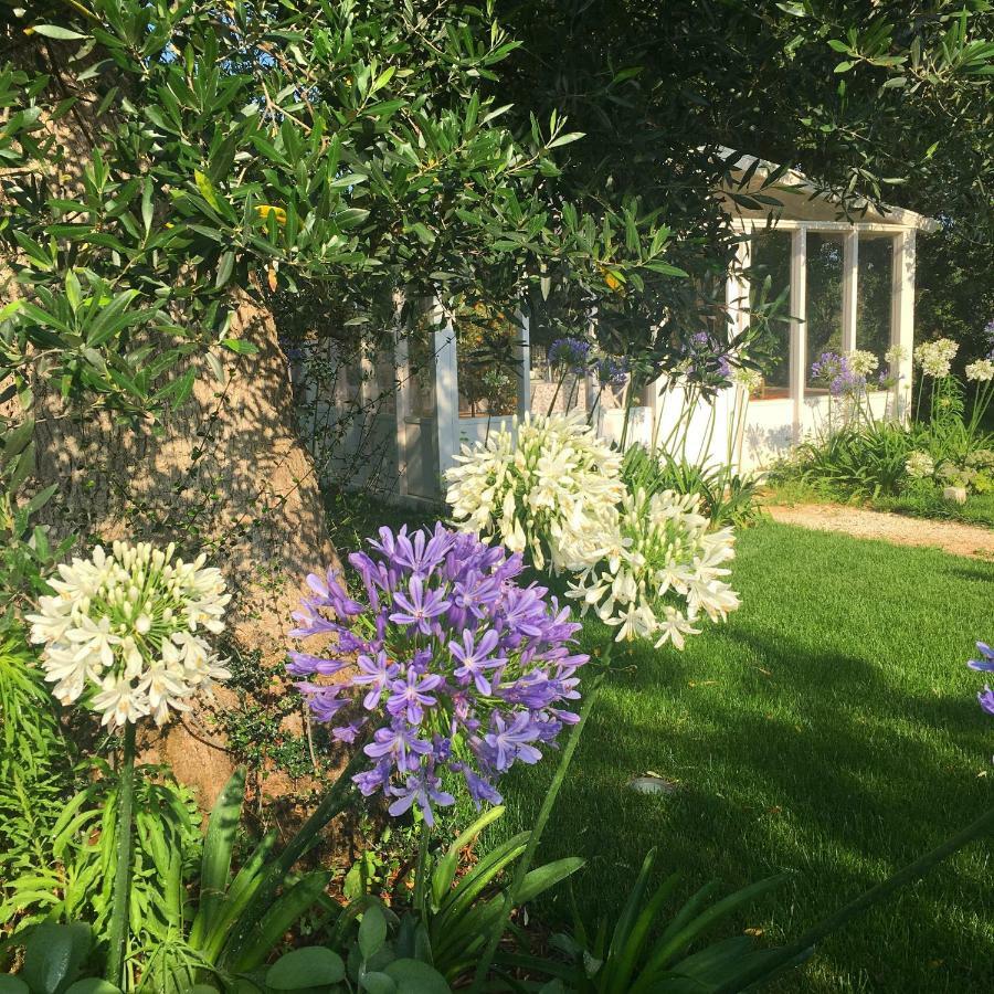Agapanto Masseria Bed and Breakfast Κονβερσάνο Εξωτερικό φωτογραφία